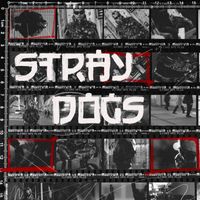 Felip - STRAYDOGS (Superior Sessions Live)