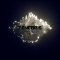 Tenebris - Entangled