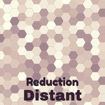 Various Artists - Reduction Distant