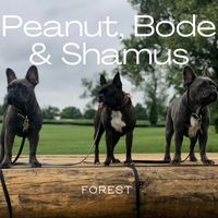 Forest - Peanut, Bode & Shamus
