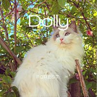 Forest - Dolly