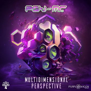 Psy-Mr. - Multidimensional Perspective