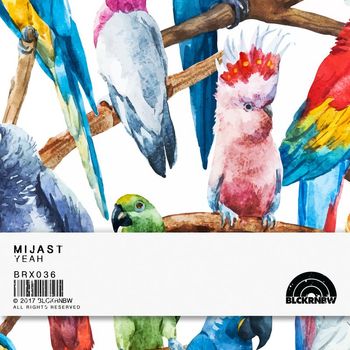 MIJAST - Yeah