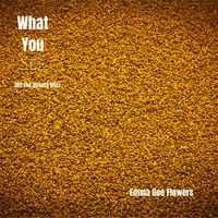 Emma Gee Flowers - What You See (Hit the Streets Mix)