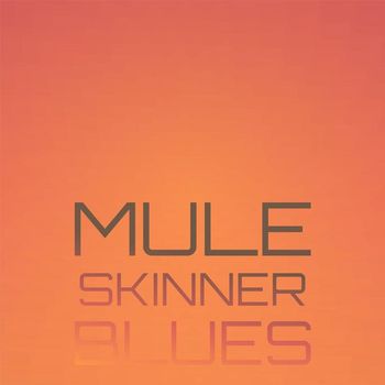 Various Artist - Mule Skinner Blues