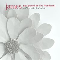 James - Love Make A Fool (Orchestral Version)