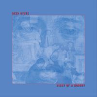 Deep State - Diary of a Nobody (Explicit)