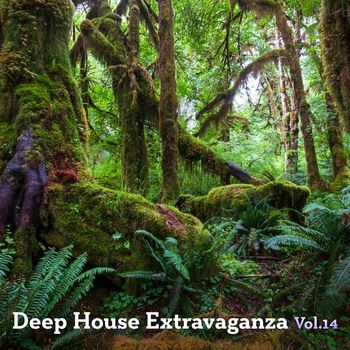 Various Artists - Deep House Extravanganza, Vol. 14