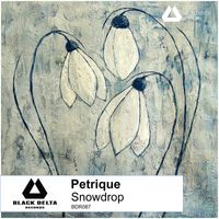 Petrique - Snowdrop