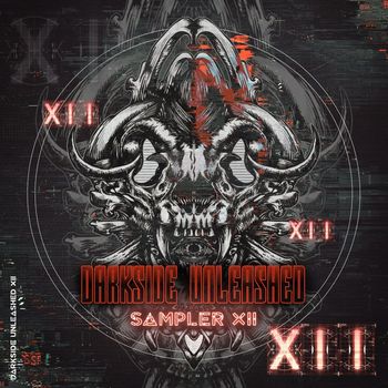 Various Artists - Darkside Unleashed Sampler XII (Explicit)