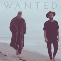 Surveyor - Wanted