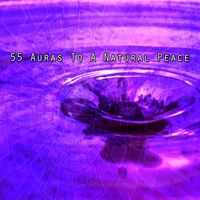 Zen Meditation and Natural White Noise and New Age Deep Massage - 55 Auras To A Natural Peace
