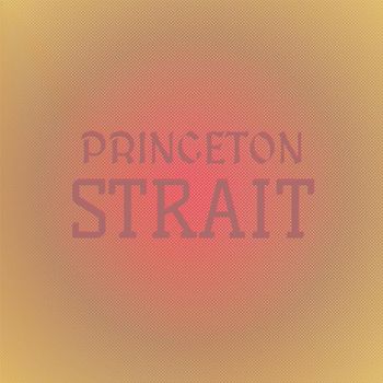 Various Artists - Princeton Strait