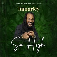 Tamarley - So High