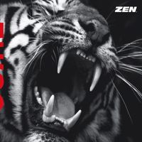 Zen - Rules, Jewels, Fools