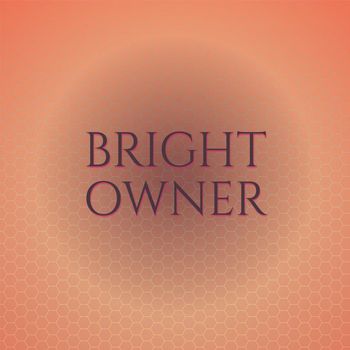 Various Artists - Bright Owner