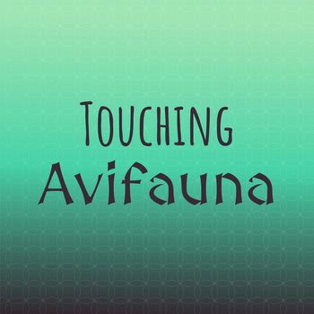 Various Artists - Touching Avifauna