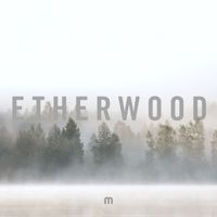 Etherwood - In Stillness (Album Sampler)