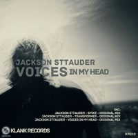 Jackson Sttauder - Voices In My Head