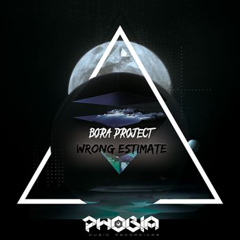 Bora Project - Wrong Estimate