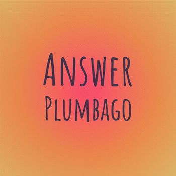 Various Artists - Answer Plumbago