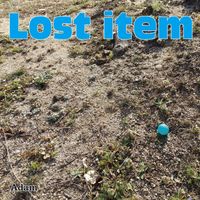 Adam - Lost item