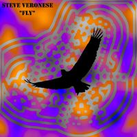Steve Veronese - Fly