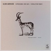Glenn Morrison - Expression