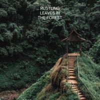 Focusity - Rustling Leaves in the Forest