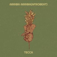 Tecca - Arriba Arriba (Afrobeat) (Explicit)