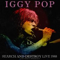 Iggy Pop - Search And Destroy Live 1988 (live)