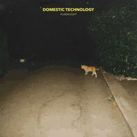 Domestic Technology - Flashlight