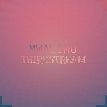 Various Artists - Mwalimu Thirdstream