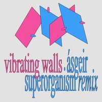 Ásgeir - Vibrating Walls (Superorganism Remix)