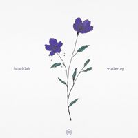 Blacklab - Violet