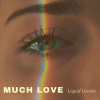Liquid Groove - Much Love