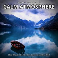 Sleeping Relaxing Soundification - Ambient Nature Sounds: Calm Atmosphere (1 Hour Relaxation for Better Sleep, Deep Focus and Stress Relief)
