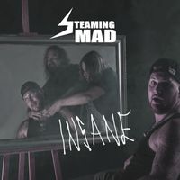 Steaming Mad - Insane (Single Edit)