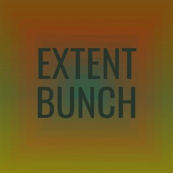 Various Artists - Extent Bunch