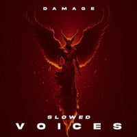 Damage - VOICES (Slowed)