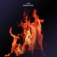 T.O.M - Burning Desire