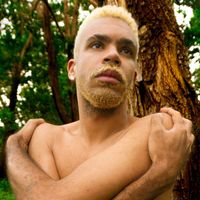 Hiran - Jaqueira