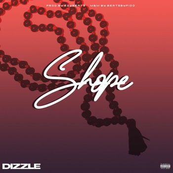 Dizzle - SHOPE