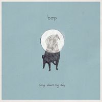 Bop - Song About My Dog