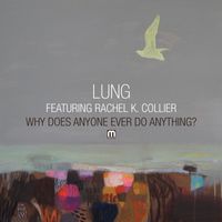 Lung - Why Does Anyone Ever Do Anything?