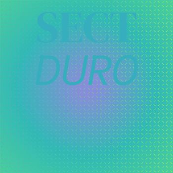 Various Artists - Sect Duro