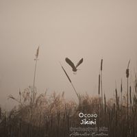Ocoro - Jikimi (Orchestral Mix)