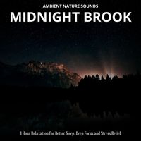 Sleeping Relaxing Soundification - Ambient Nature Sounds: Midnight Brook (1 Hour Relaxation for Better Sleep, Deep Focus and Stress Relief)