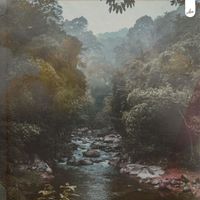 Tabi - Down The River