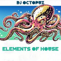 DJ Octopuz - Elements Of House